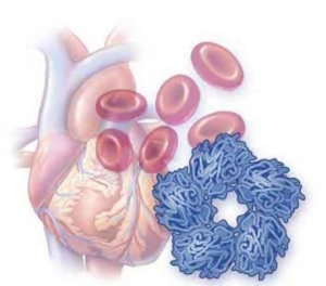 Madrid-Acupuntura-sindrome-fatiga-cronica