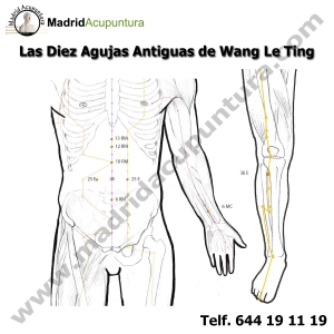 Madrid-Acupuntura-Las Diez Agujas Antiguas de Wang Le Ting