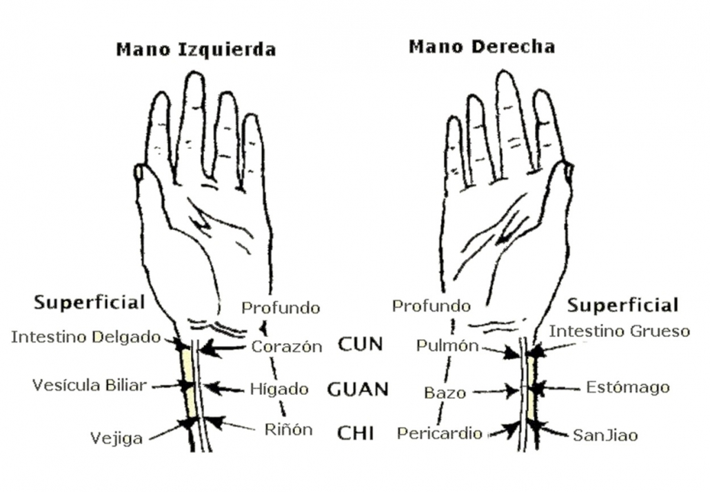 Madrid-Acupuntura-Pulsos Medicina China