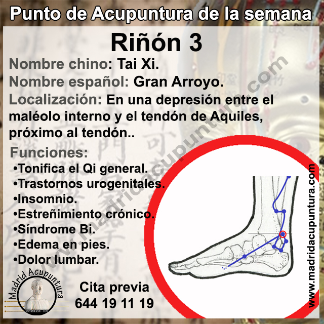 Punto de la semana: Riñón 3